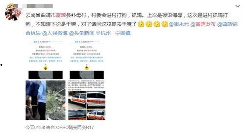 曲靖爆料视频最新,揭秘当地民生热点事件背后的真相  第1张